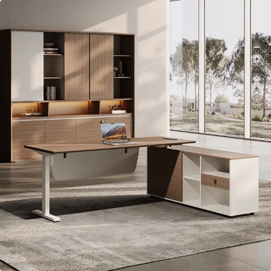 Modern Simple Office CEO Boss  - Office Furniture Logo recension och pris